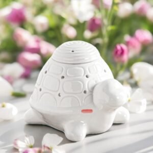 Brûle parfum Tortue