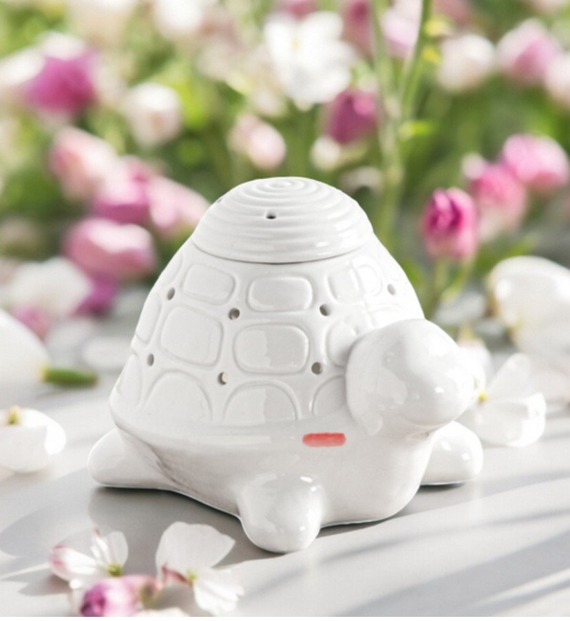 Brûle parfum Tortue